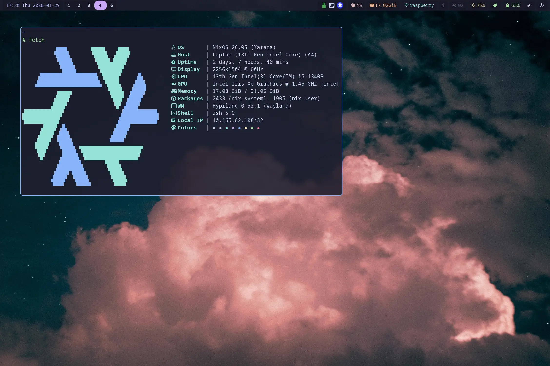 a screenshot of a hyprland desktop with customized waybar and fastfetch and a background with pink flowers
